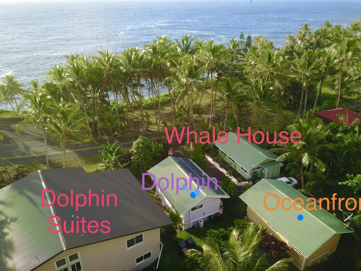 The Dolphin At Ferienhaus