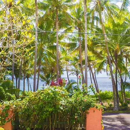 The Dolphin Cottage At Kehena Beach Exterior photo