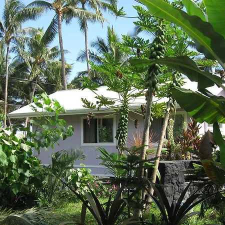 The Dolphin Cottage At Kehena Beach Exterior photo