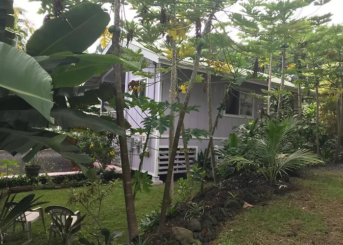The Dolphin Cottage At Kehena Beach