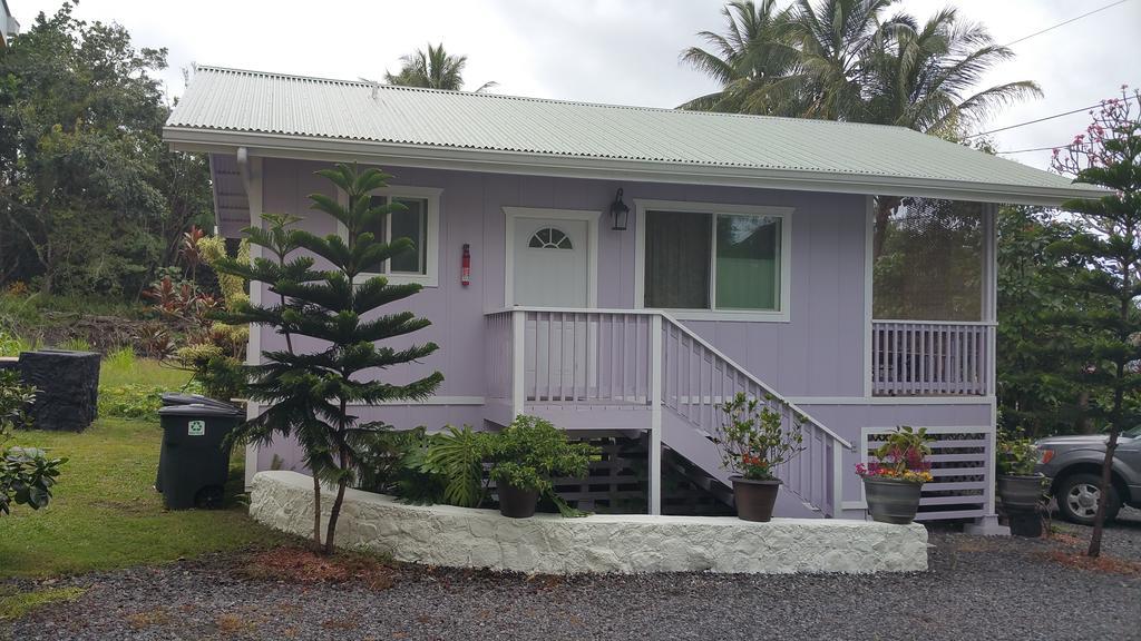 The Dolphin At Holiday home Kehena