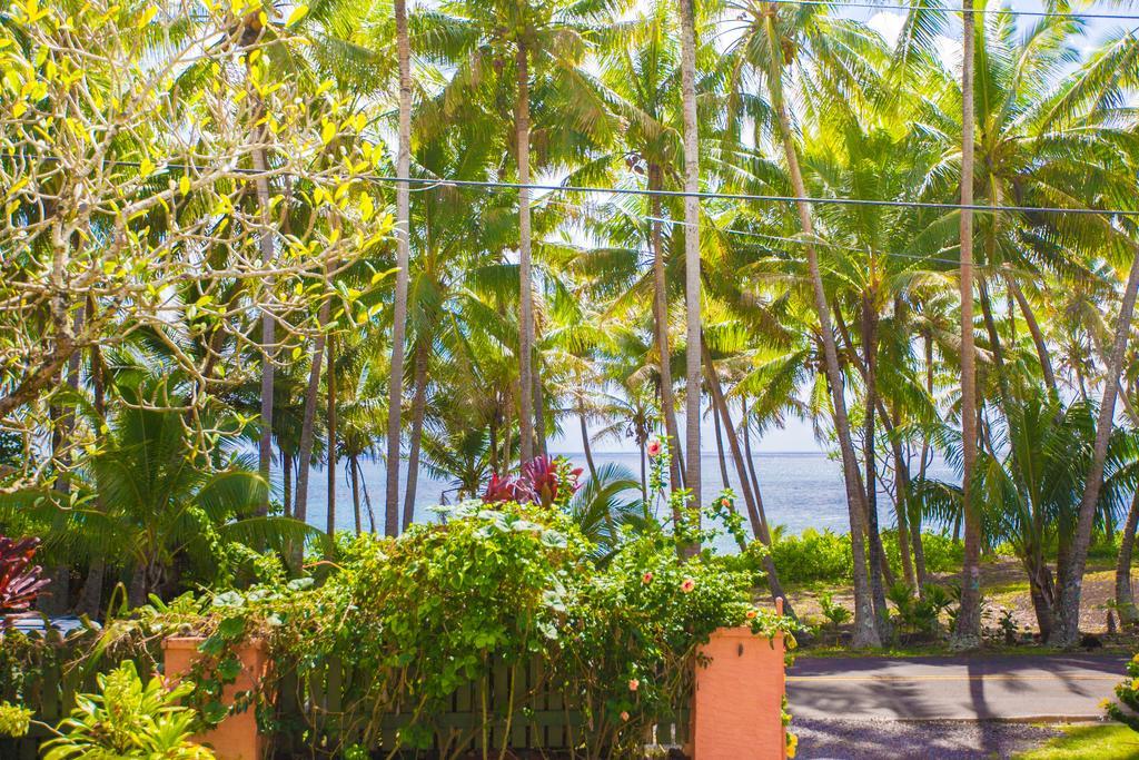 The Dolphin At Holiday home Kehena