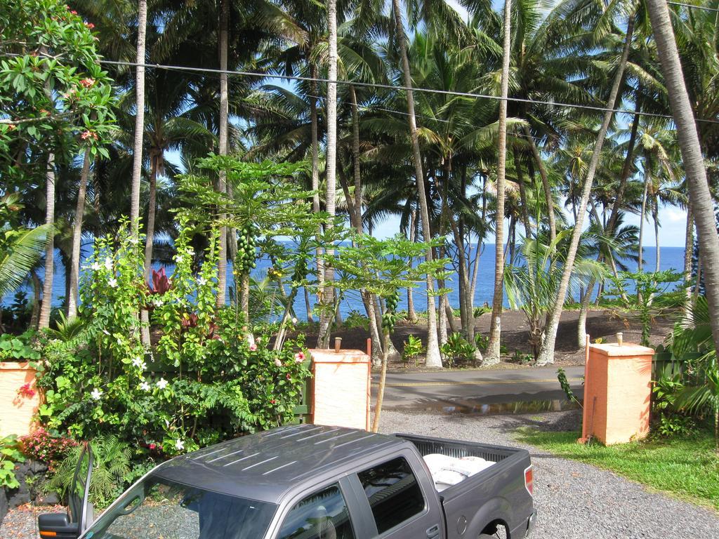 The Dolphin At Holiday home