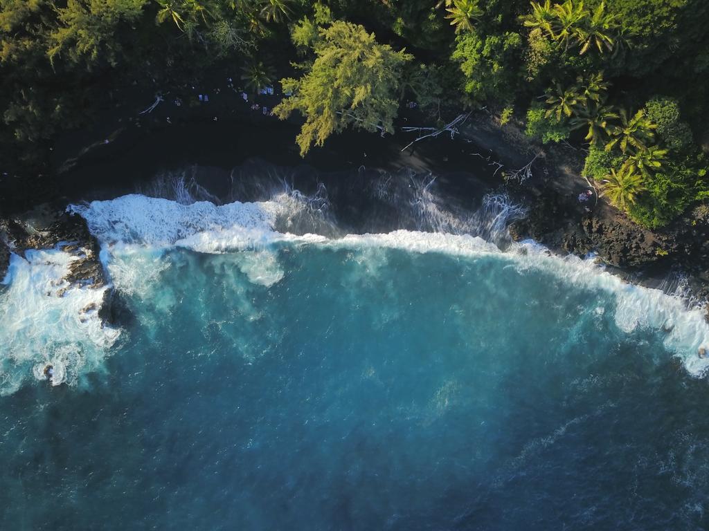 The Dolphin At Kehena