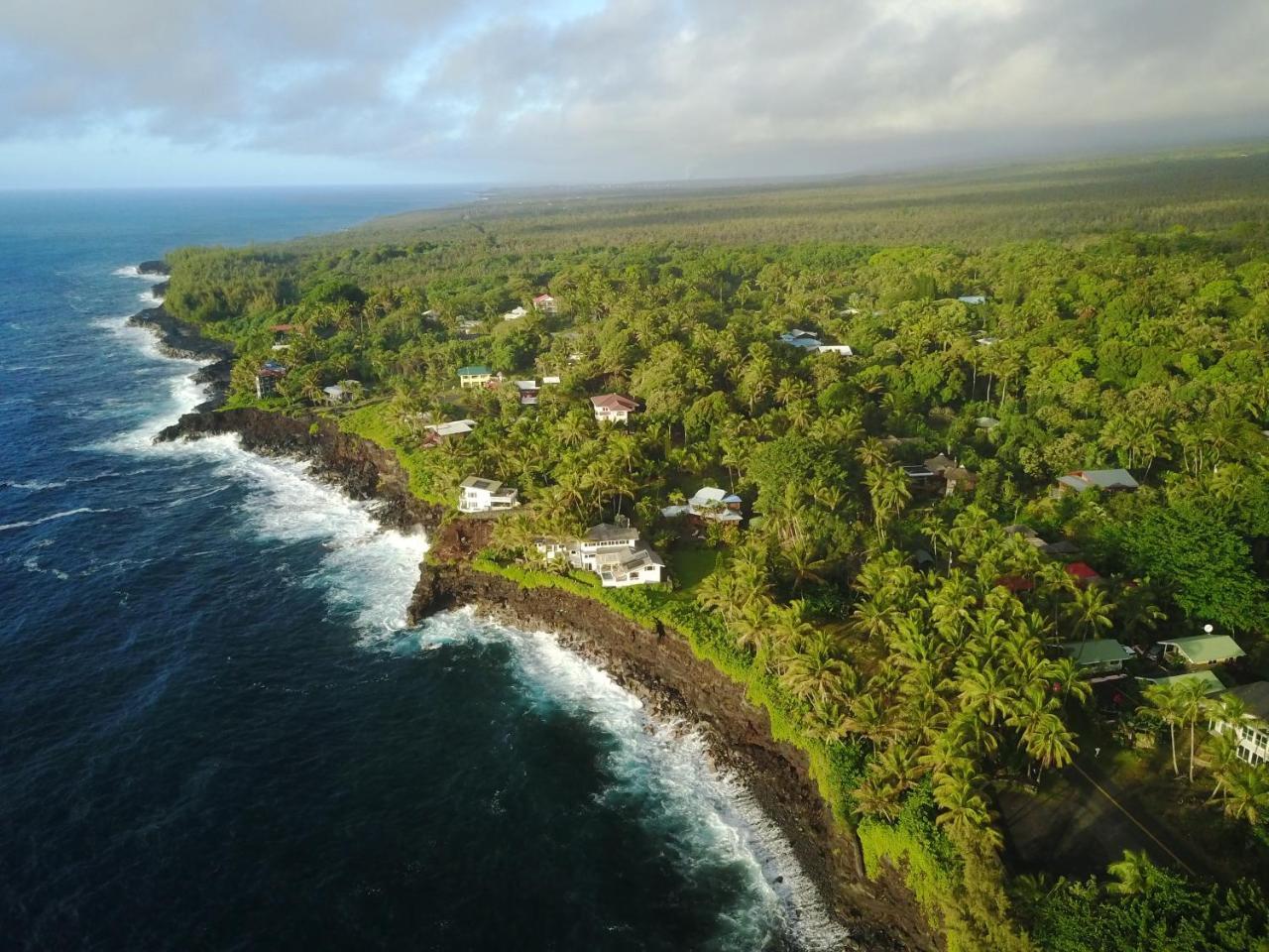 The Dolphin At Kehena